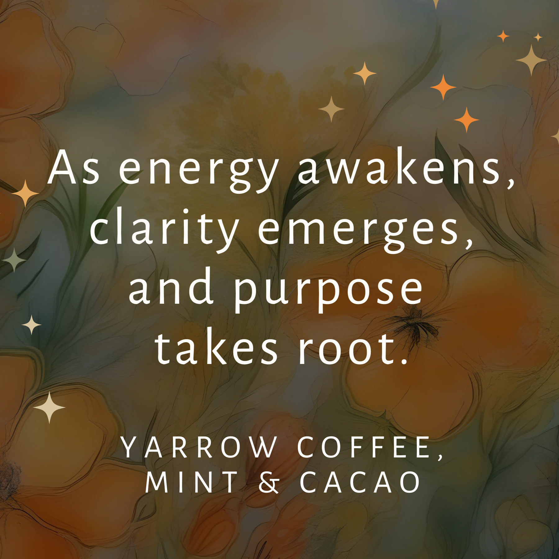 Blooming Wild Botanicals - Wholesale Aromatherapy Lotion/Oil - Morning Mojo  Aromatherapy Potion No 51