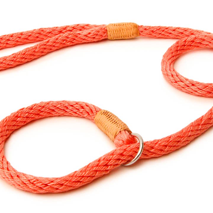 Alvalley - Wholesale Pet Leash - Dog - Nylon Slip Leads18