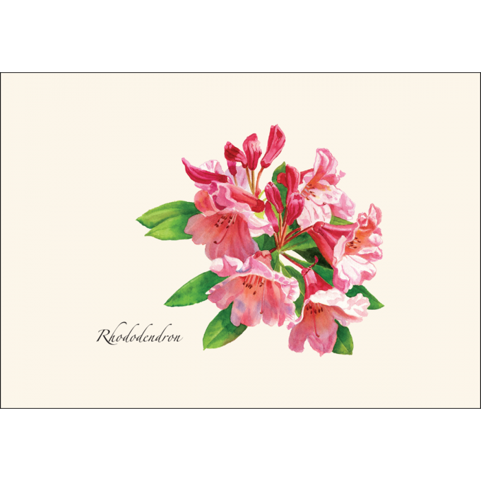 Earth Sky + Water - Wholesale Stationery/Notecard Set - Rhododendron1
