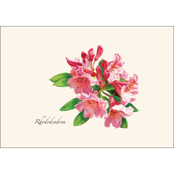 Earth Sky + Water - Wholesale Stationery/Notecard Set - Rhododendron1