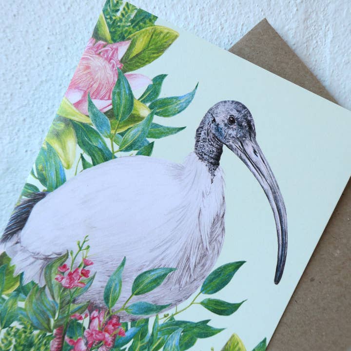 Kayla Reay Design - Wholesale Everyday greeting card - Bin Chicken (Australian White Ibis) Greeting Card 5
