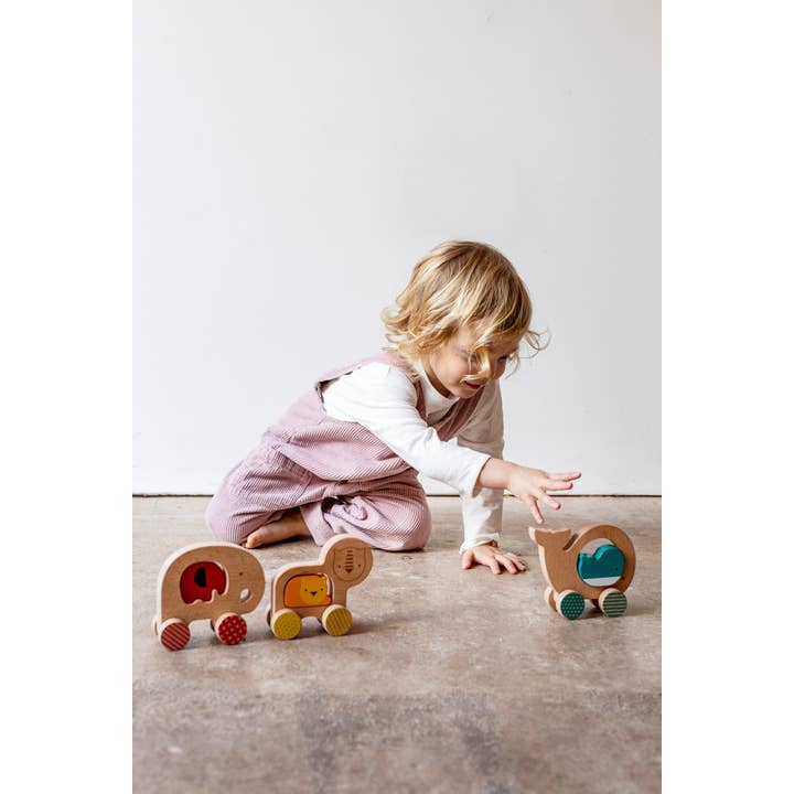 Chronicle Books - Wholesale Wood Toy - Kids - Wooden Push Along Whale Toy