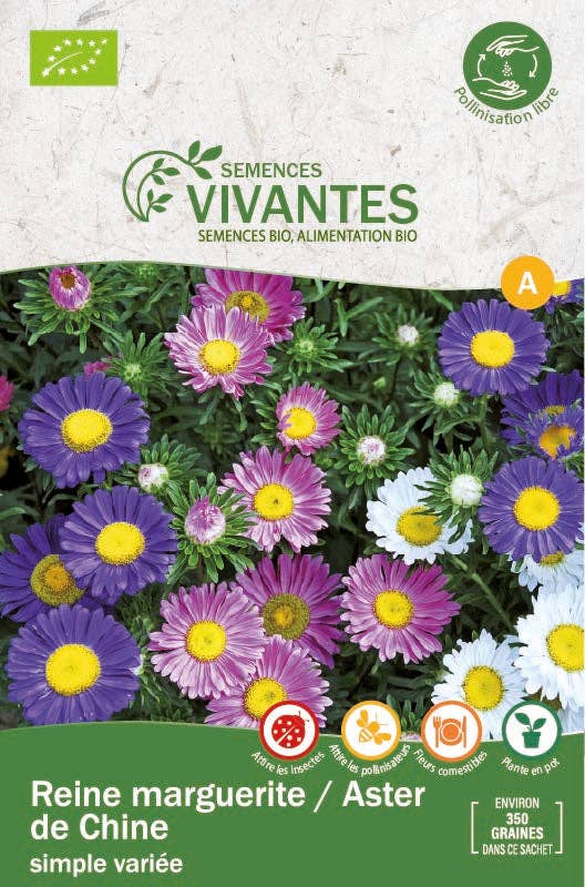 Semences Vivantes - Wholesale Plant Seeds - Queen daisy/aster of China simple varied organic0