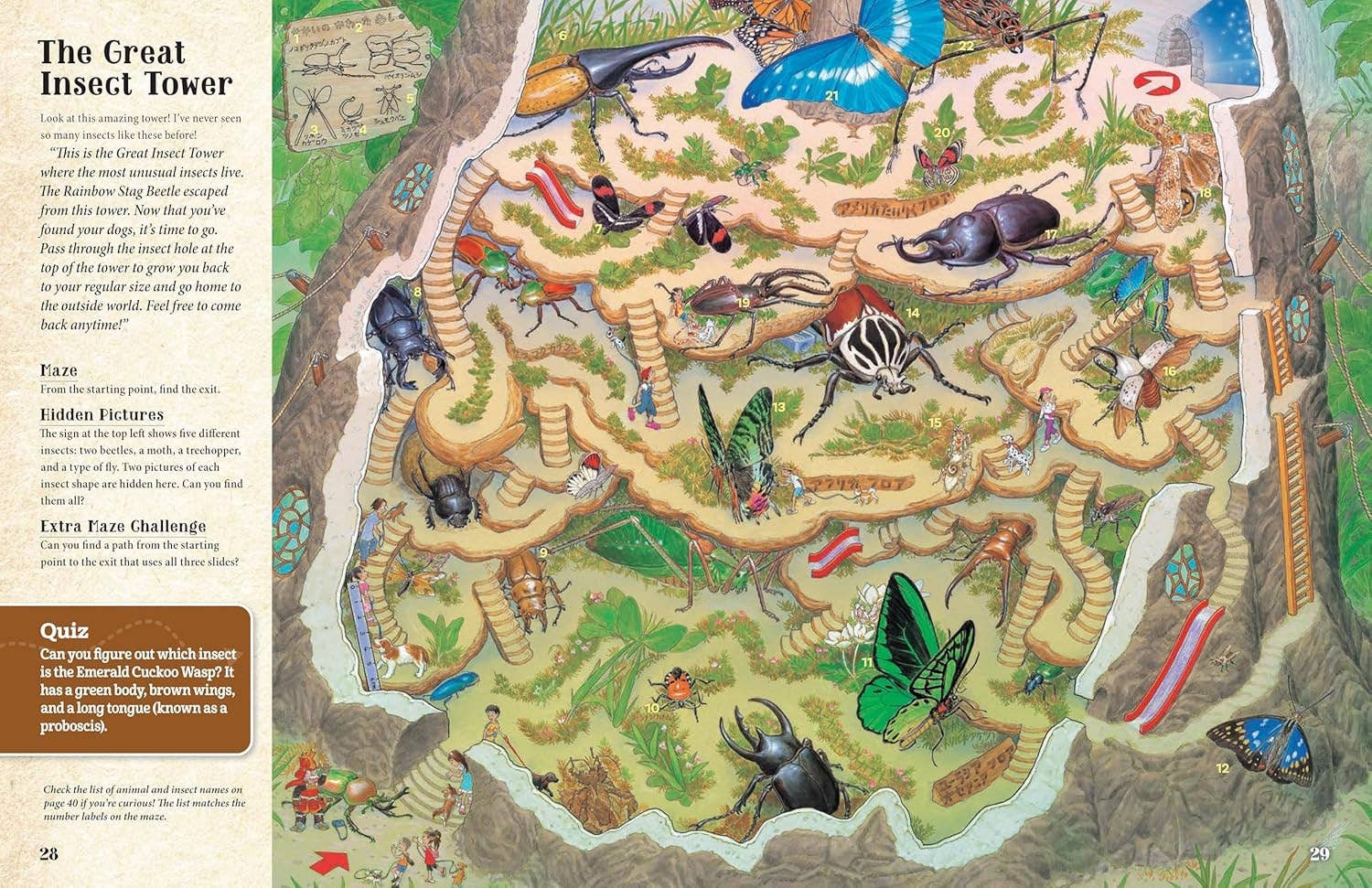 Fox Chapel Publishing - Wholesale Preschool Book (3-5) - Curious Quest - Hidden World of Insects-Seek-and-Find Mazes
3