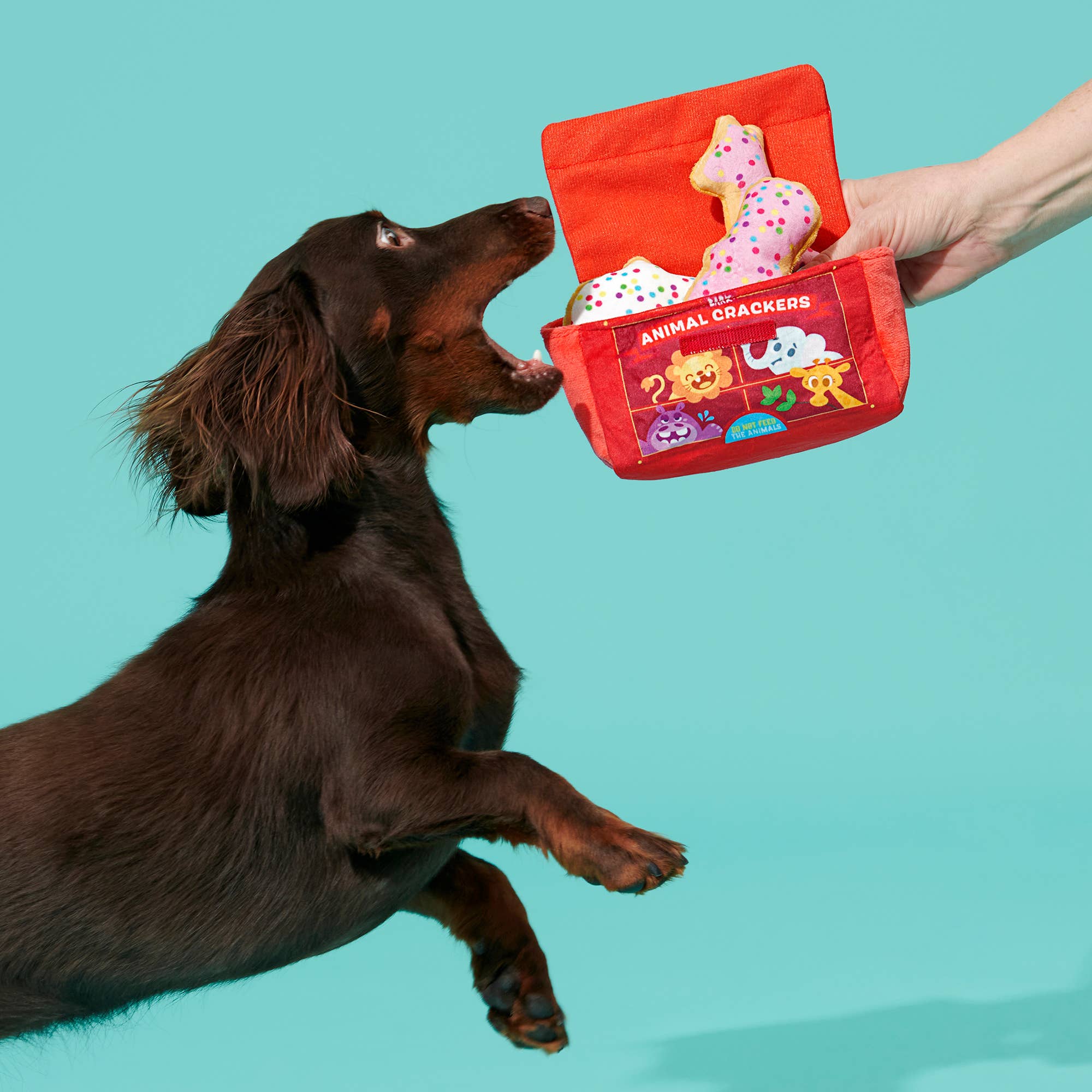 Pet Palette Distribution - Wholesale Pet Plush Toy - Dog - BARK Animal Squeakers Snacks Plush Dog Toy XS/S2