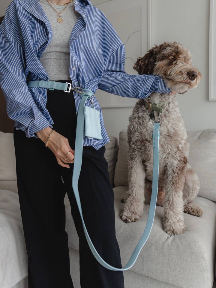 Hands Free Leash in Sky Blue for wholesale by dexypaws
