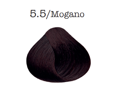 Trico Botanica – Tinta de cabelo por atacado – Trico Botanica - Cor Vegetal 40 g - Mogno1
