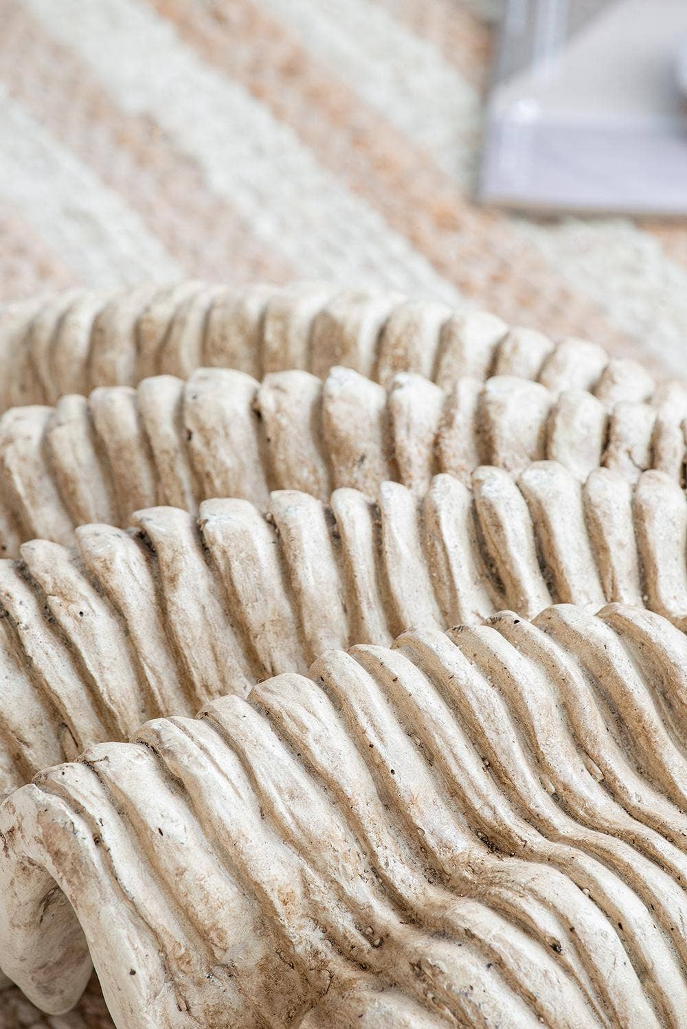 A&B Home Group Inc. - Wholesale Decorative Tabletop Object - Medium Clam Shell Accent4