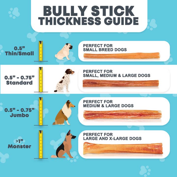 Hotspot Pets - Wholesale Pet Treats - Dog - 12'' All Natural Premium Bully Sticks Dog Treats, 10 Count1