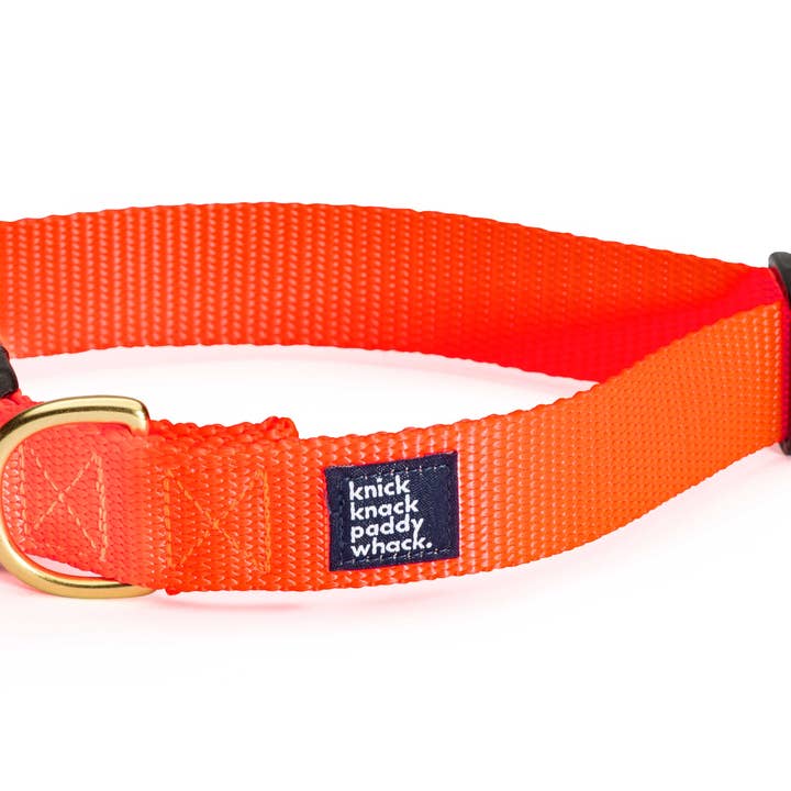 Neon Orange Spänne Krage för wholesale av Knick Knack Paddywhack Dog Gear