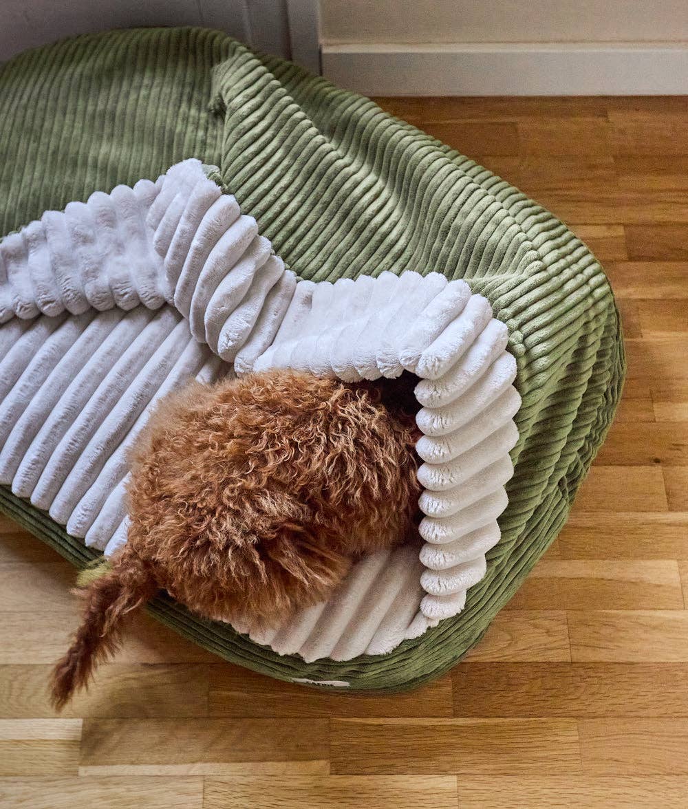 CAFIDE - Vendita all'ingrosso Letto - Cani - Letto per Cani con Cappuccio Verde Velluto, Maso1