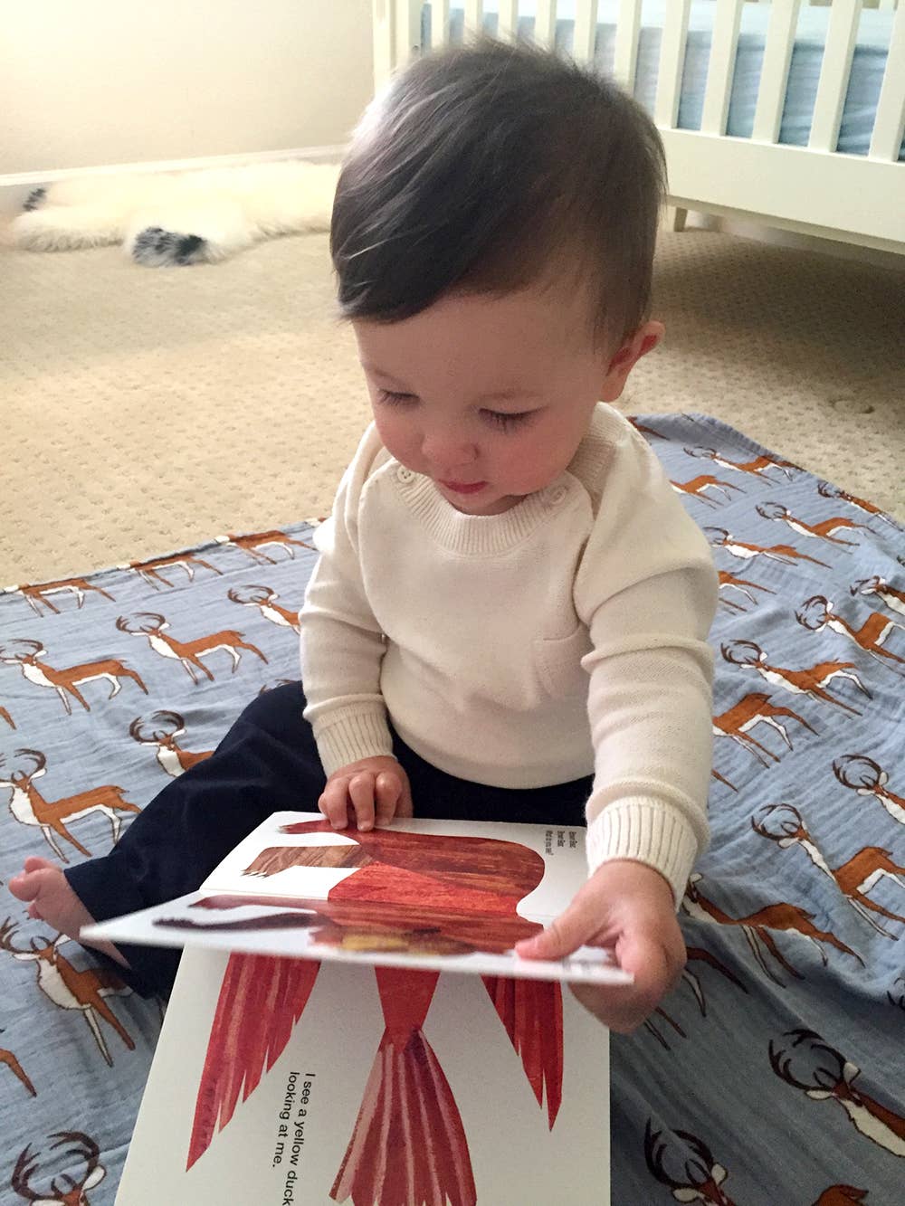 Viverano Organics - Vendita all'ingrosso Maglione tricot - Neonati - Pullover da neonato in maglia raglan Milan (cotone biologico)4