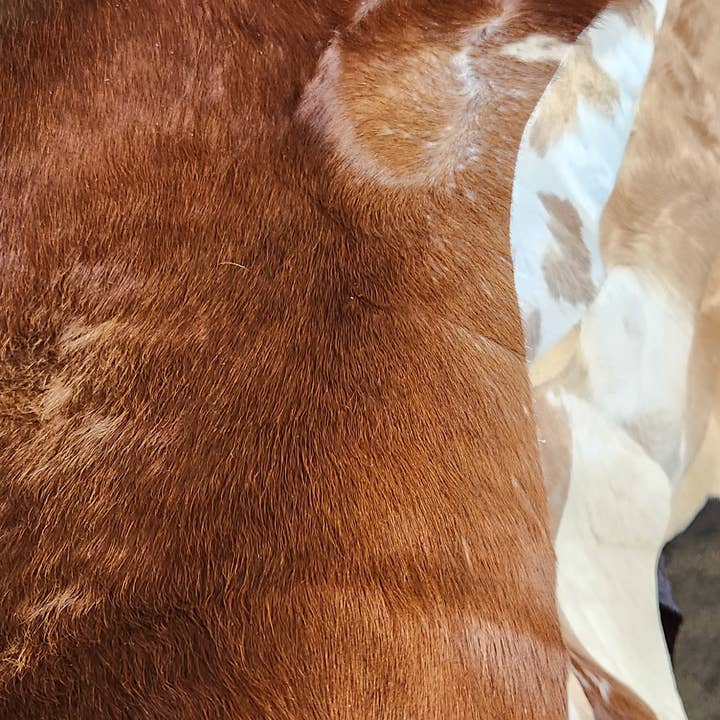 Luises Perez Imports LLC - Wholesale Area Rug - Assorted color cowhides