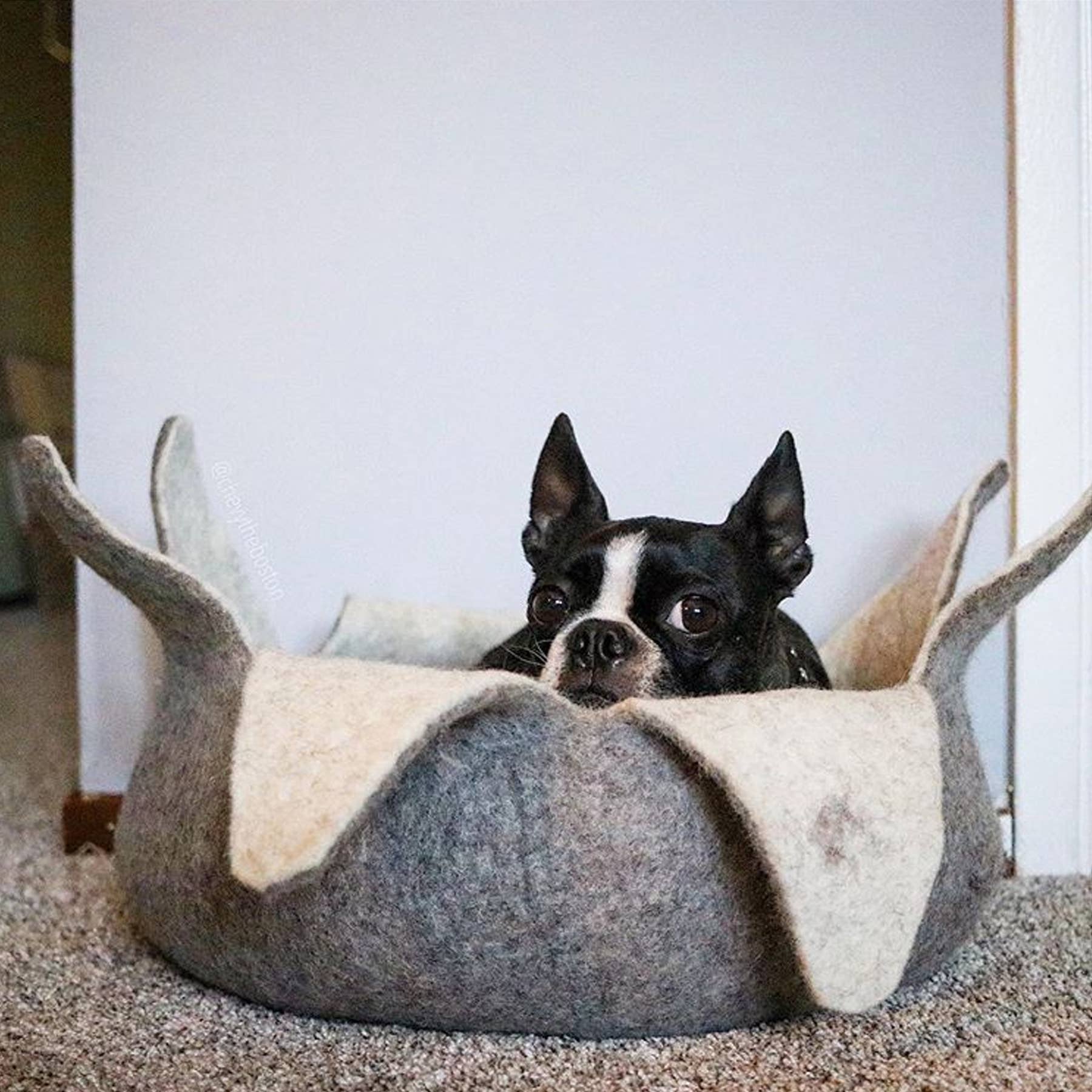 Karma Cat Inc. - Wholesale Pet Bed - Cat/Dog - Natural Petal Wool Pet Basket1