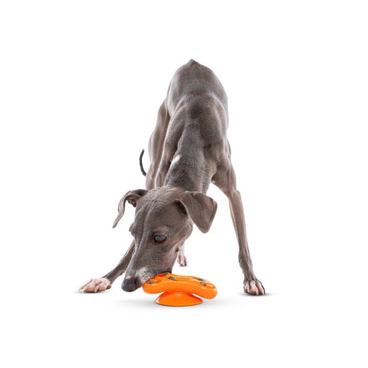 Pet Palette Distribution - Wholesale Pet Fetch Ball - Dog - GURU Pet Company Busy Ball Dog Fetch Toy Medium