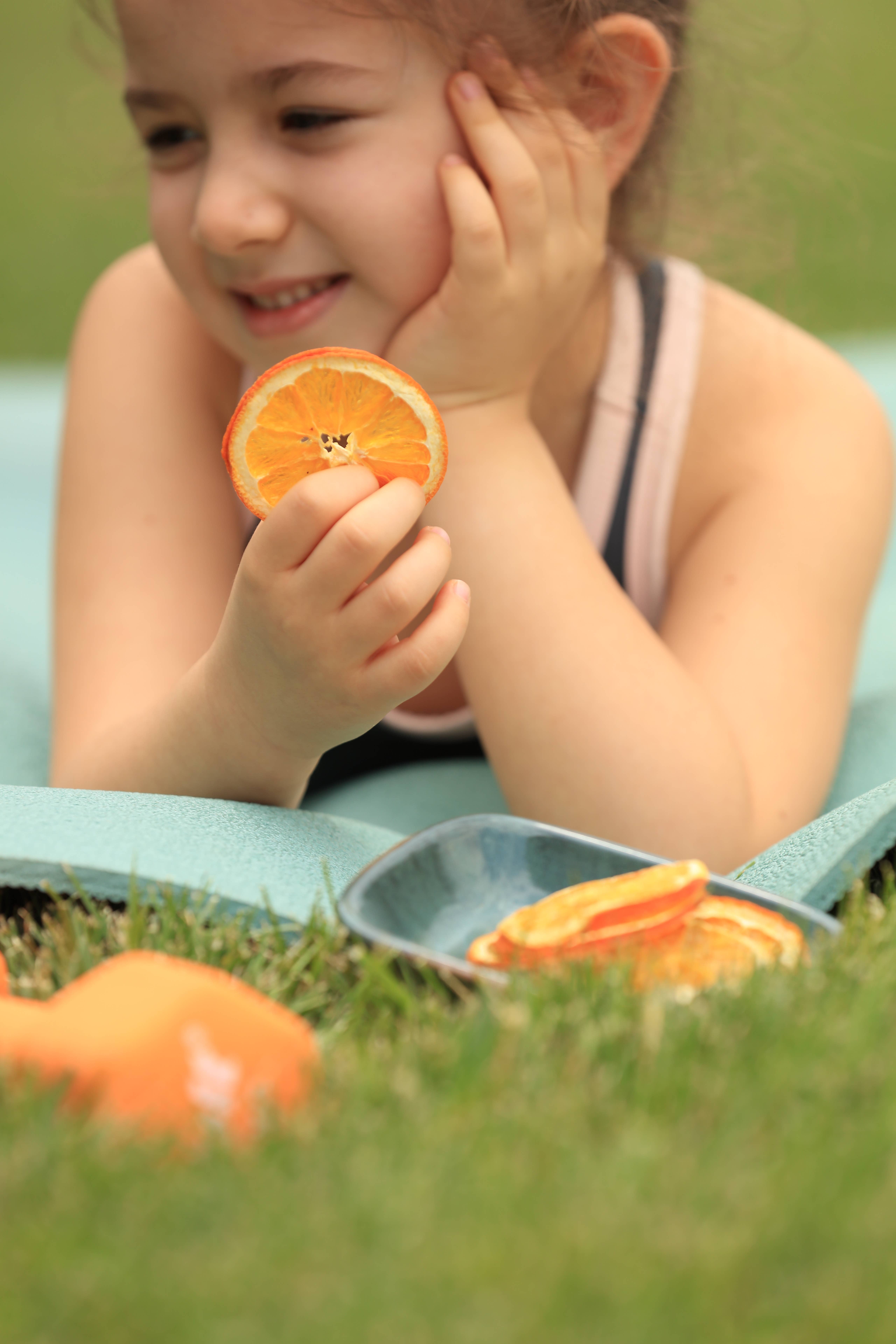 WestShine – wholesale Dried/dehydrated fruit – Organic Dried Orange Slices, Navel Orange, Pieces, Bits,11