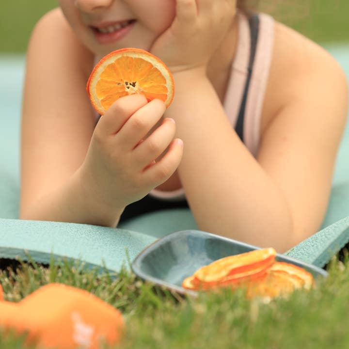 WestShine – wholesale Dried/dehydrated fruit – Organic Dried Orange Slices, Navel Orange, Pieces, Bits,11