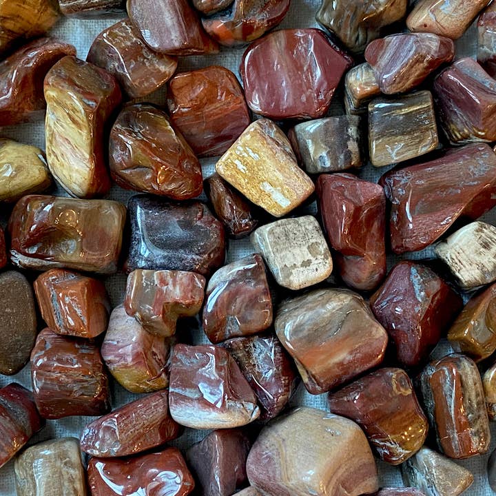 ☆ PETRIFIED WOOD for wholesale by Made of Shiny Stars