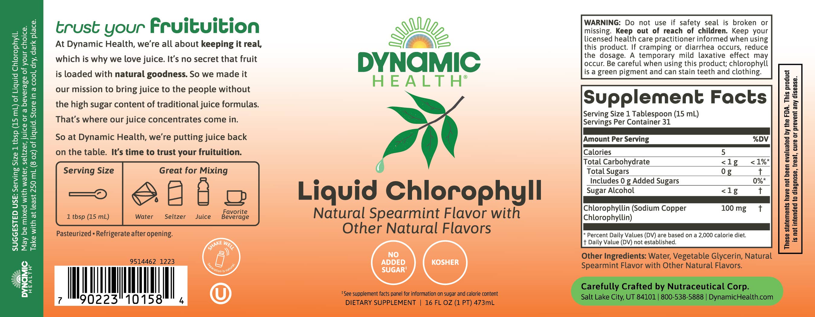 Dynamic Health - Wholesale Oral Supplement/Vitamin - Liquid Chlorophyll Spearmint Flavored2