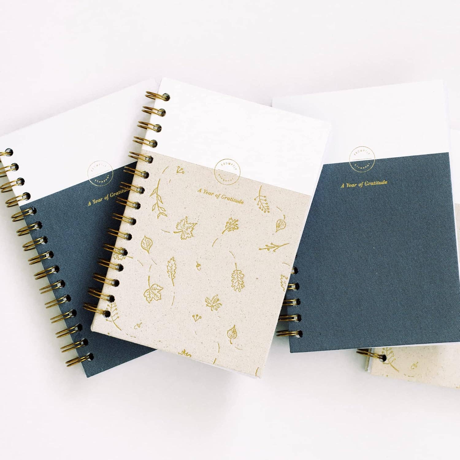 Promptly Journals - Wholesale Dagboek/agenda - Mijn dankbaarheidsdagboek: Een jaar van dankbaarheid schrijfwaren9