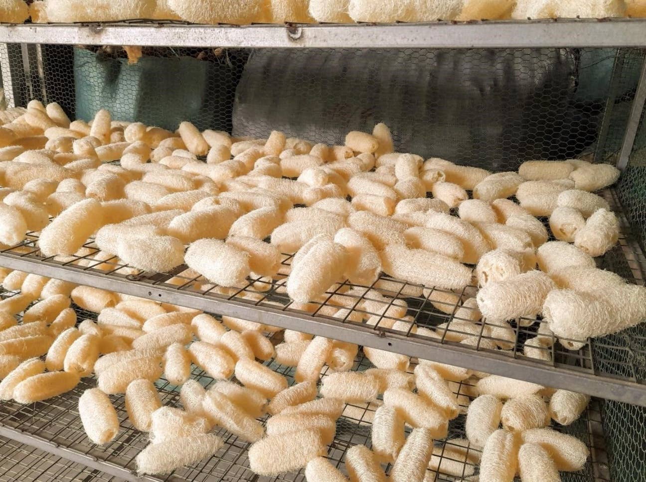 Tonkin Handicraft - Wholesale Loofah - Organic Loofah Exfoliating Pads2