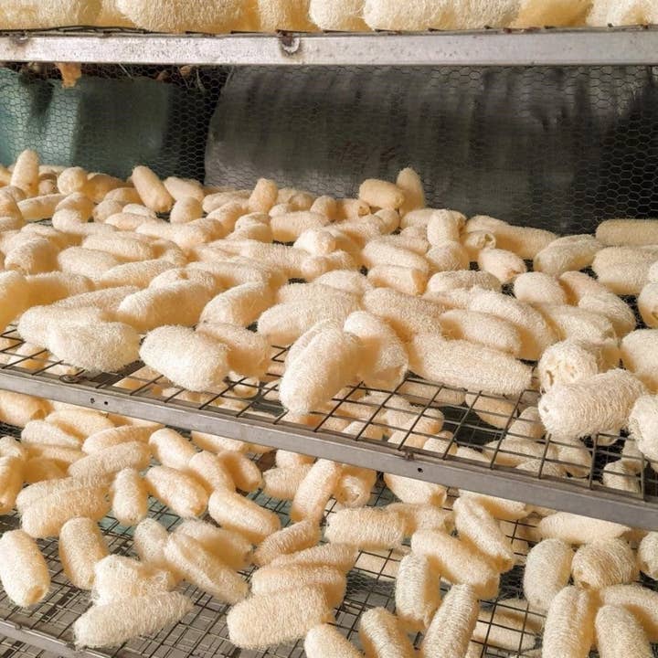 Tonkin Handicraft - Wholesale Loofah - Organic Loofah Exfoliating Pads2