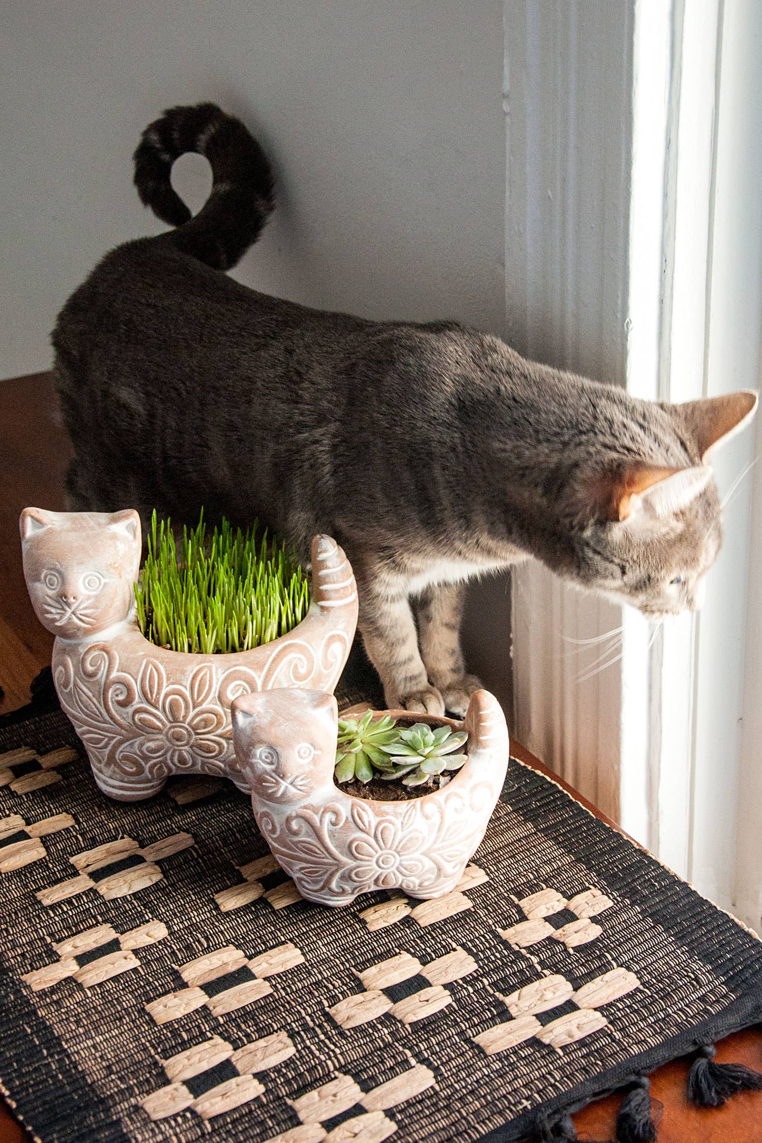 Ten Thousand Villages - Wholesale Plant Pot - Garden Kitty Planter (Small)3