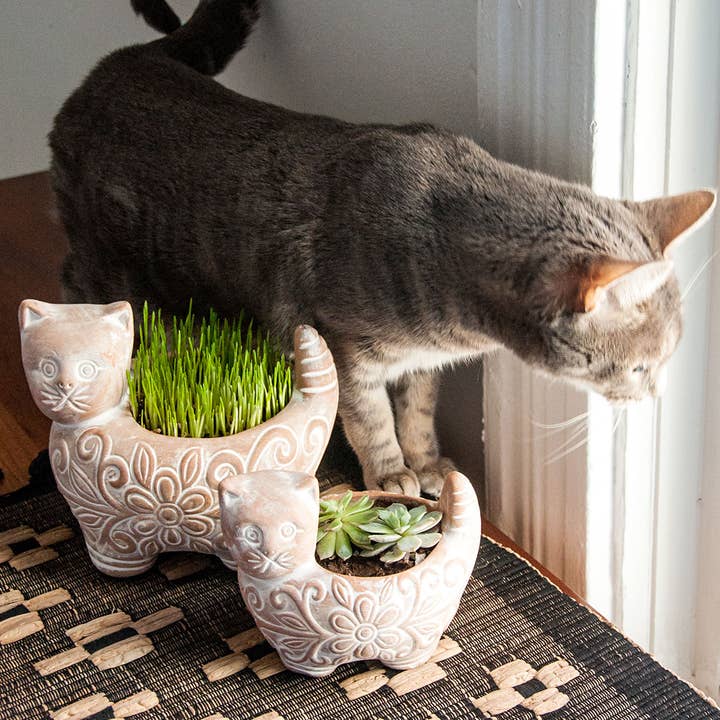 Ten Thousand Villages - Wholesale Plant Pot - Garden Kitty Planter (Small)3