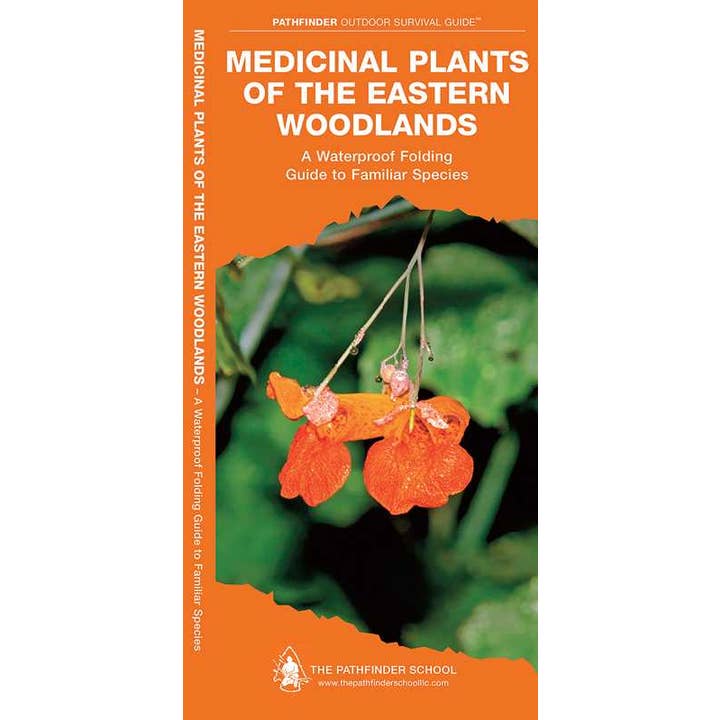 Medicinal Plants of the Eastern Woodlands by Dave Canterbury for wholesale by Simon & Schuster