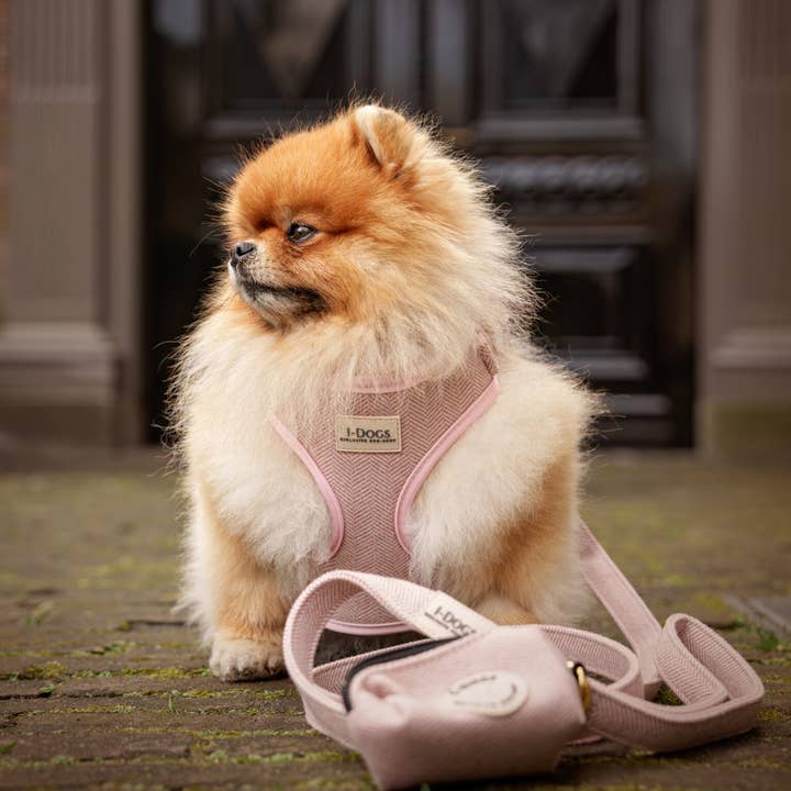 Sele Touch of Pink för wholesale av I-Dogs