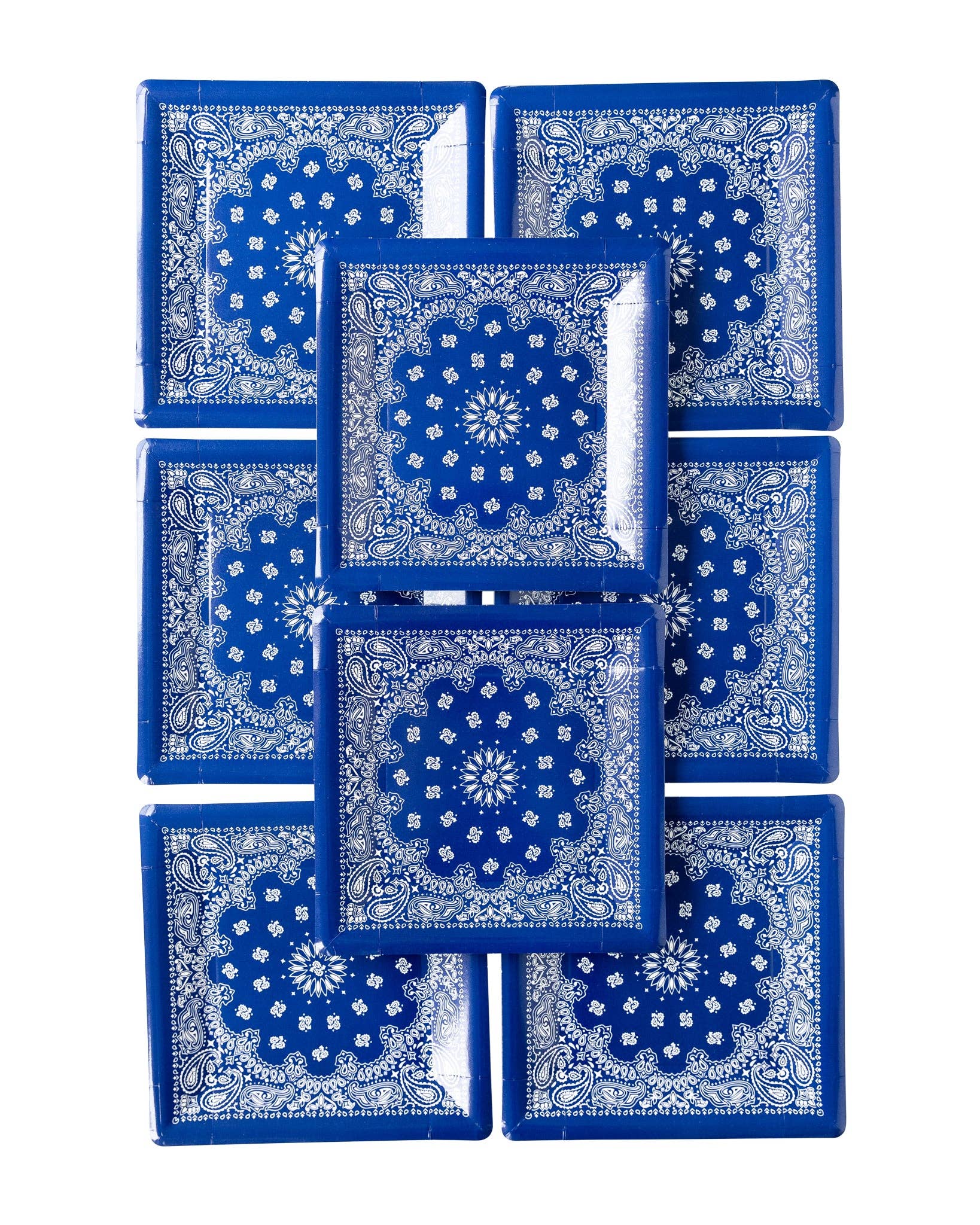 My Mind’s Eye - Wholesale Disposable Plate - PLTS366R-MME - Blue Bandana Paper Plate3