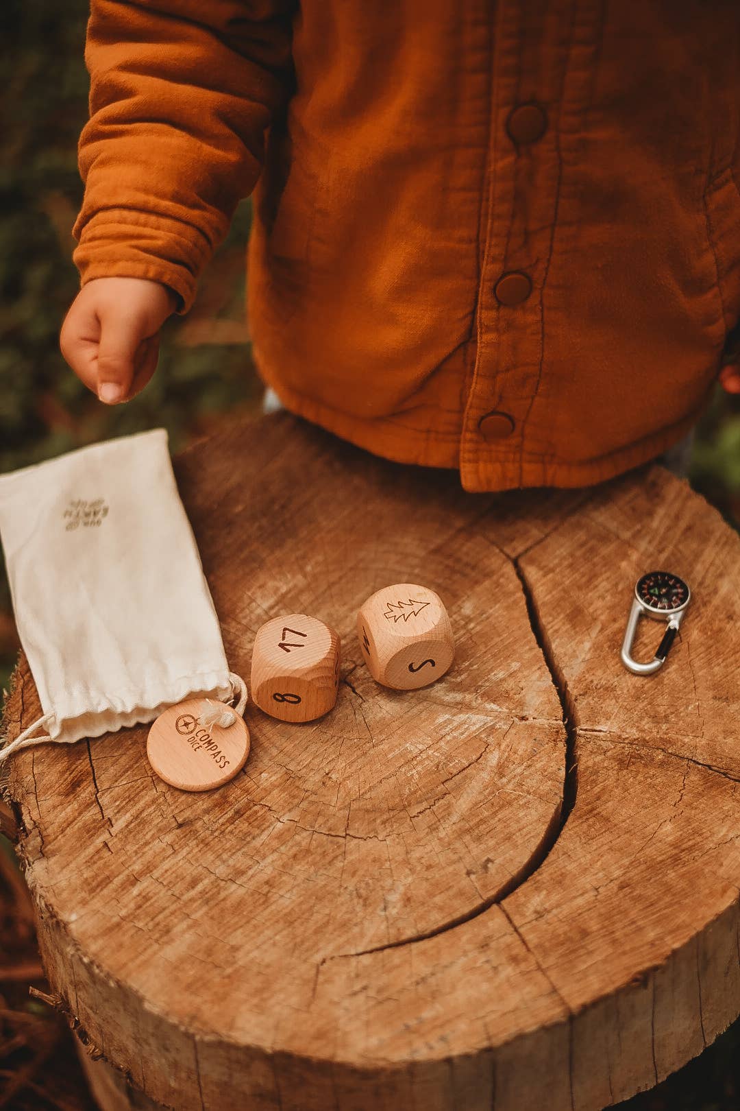 Our Earth Life - Wholesale Dice - Compass Dice
