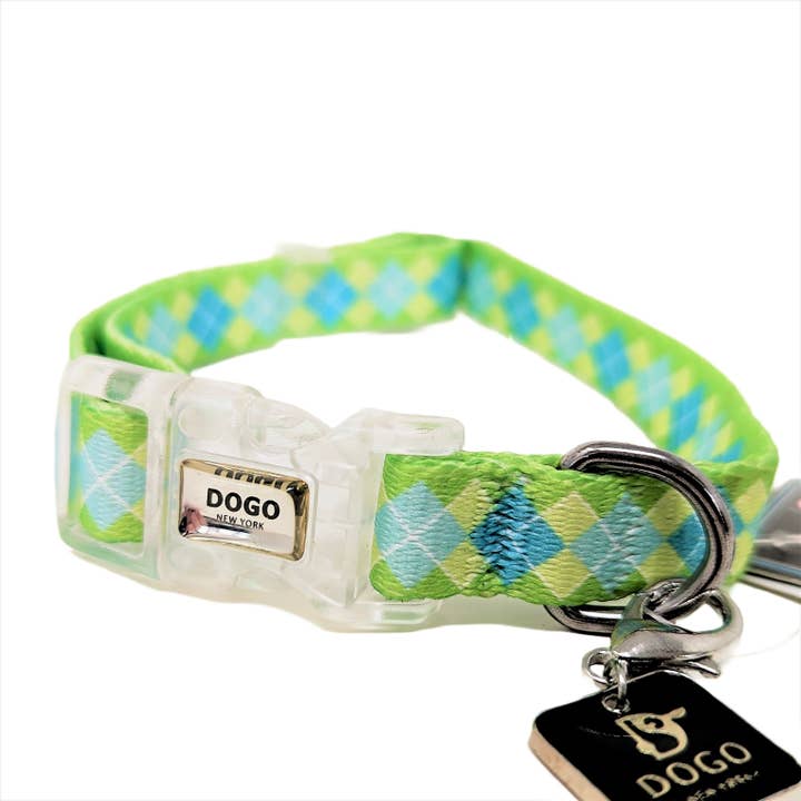 Contempo halsbånd og line for engroshandel hos Dogo Pet