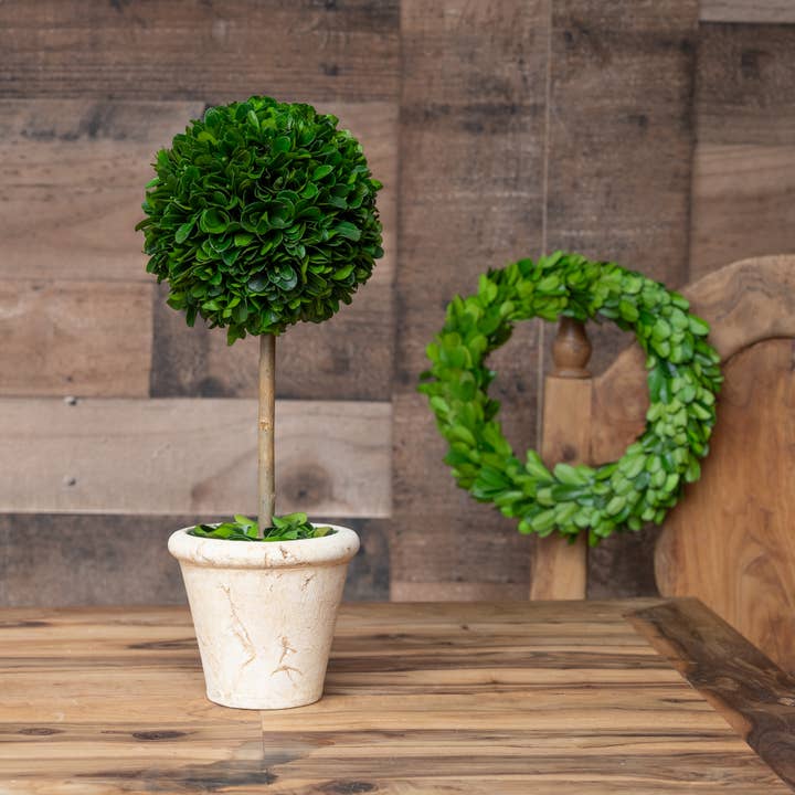 Mills Floral Company - Wholesale Artificial Plant - Preserved Boxwood Topiary - Double Ball - 20 Inch1
