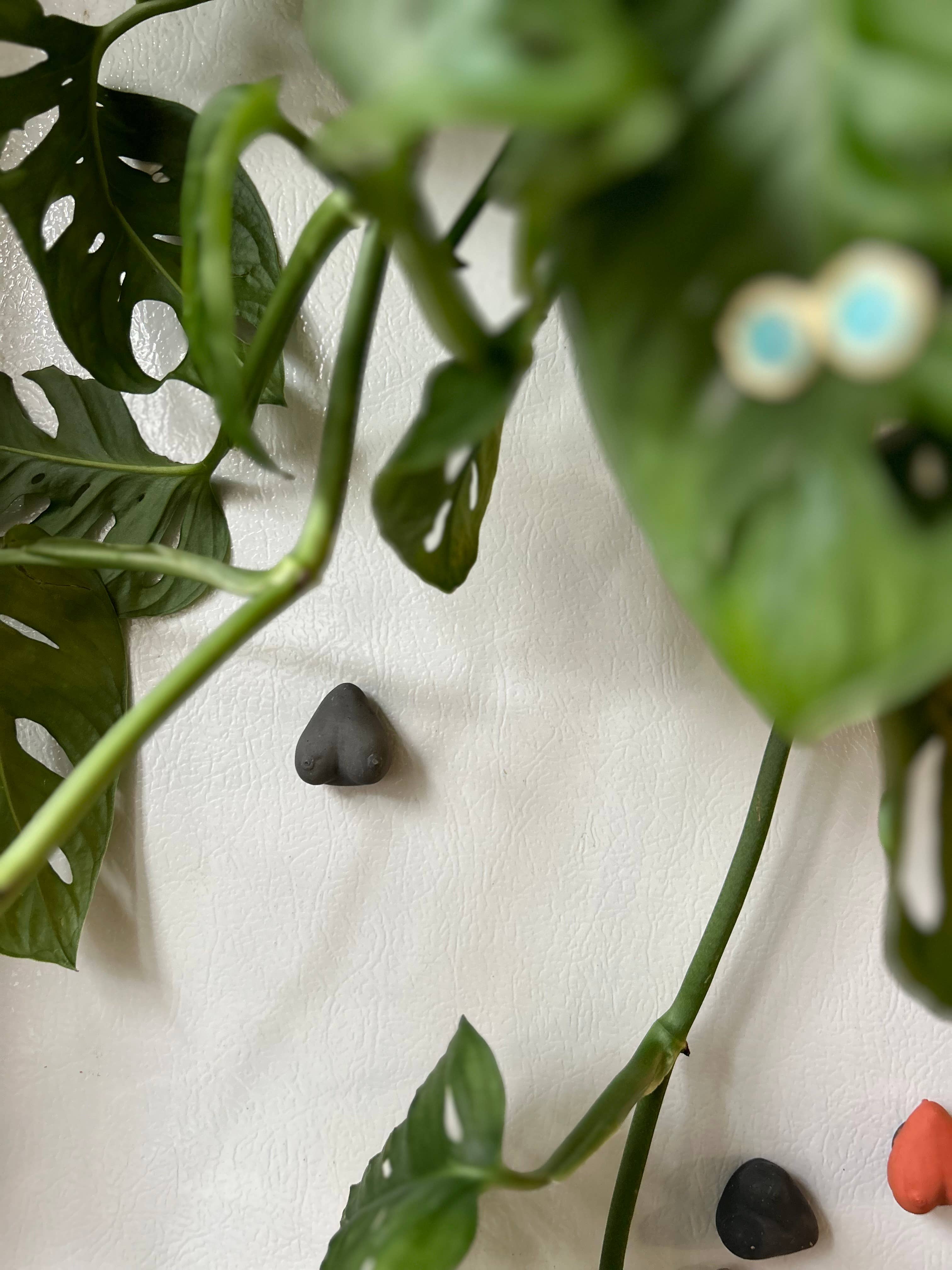 Queen City Crete - Vendita all'ingrosso Calamite - Magneti Boob 6