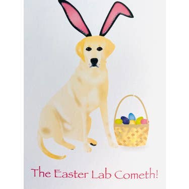 Studio Daedre - Wholesale Stationery/Notecard Set - Easter Lab Boxed Note Cards0