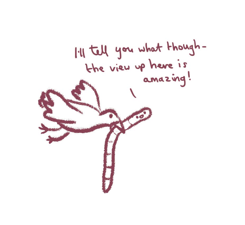 Sarah Ray - Venta al por mayor Tarjetas de felicitación - Tarjeta cotidiana Worm Story1