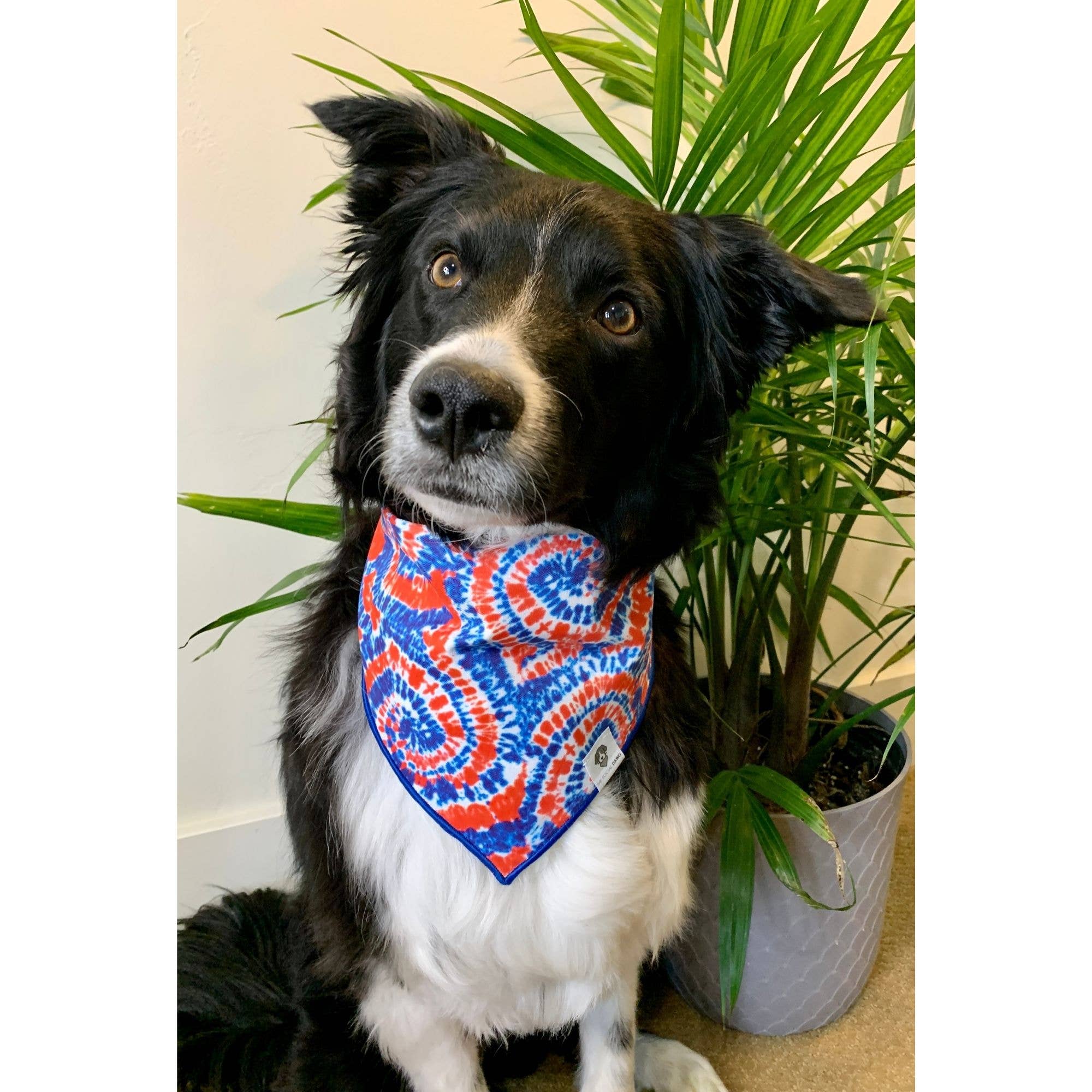 The Social Dawg - Wholesale Hondenbandana - Hond - Rood-witte en blauwe tie-dye swirls tie-on hondenbandana1