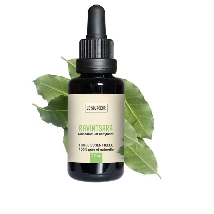 Le Sourceur - Wholesale Essential Oil - RAVINTSARA ESSENTIAL OIL