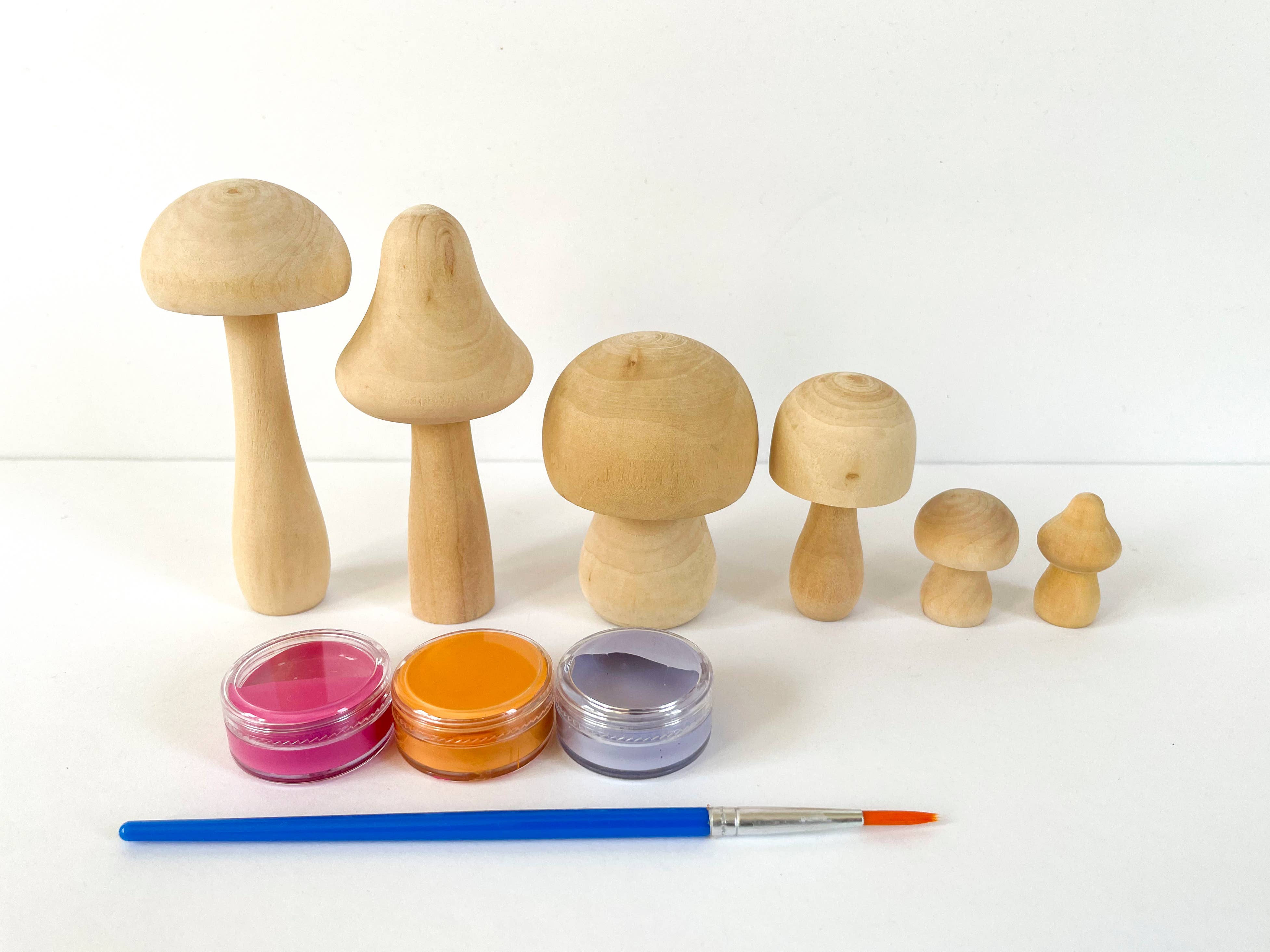 Bramble Workshop - Wholesale DIY Craft Kit - DIY Painted Mushroom Kit- bright4