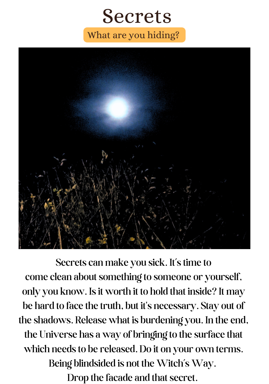 Maine Sea Witch - Wholesale Spiritual Stone/Crystal - Maine Sea Witch Oracle13