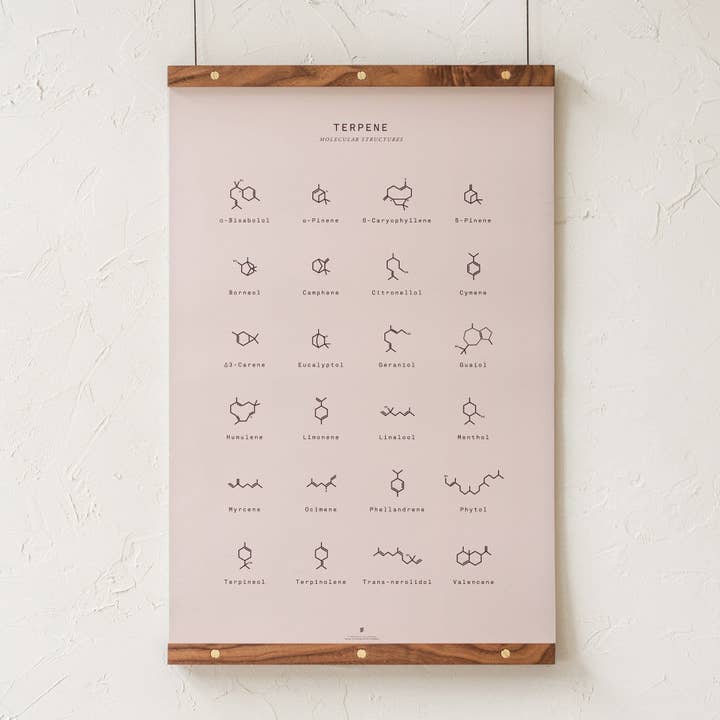 Goldleaf – Großhandel Kunstdruck – Diagramm mit molekularen Terpenstrukturen drucken5