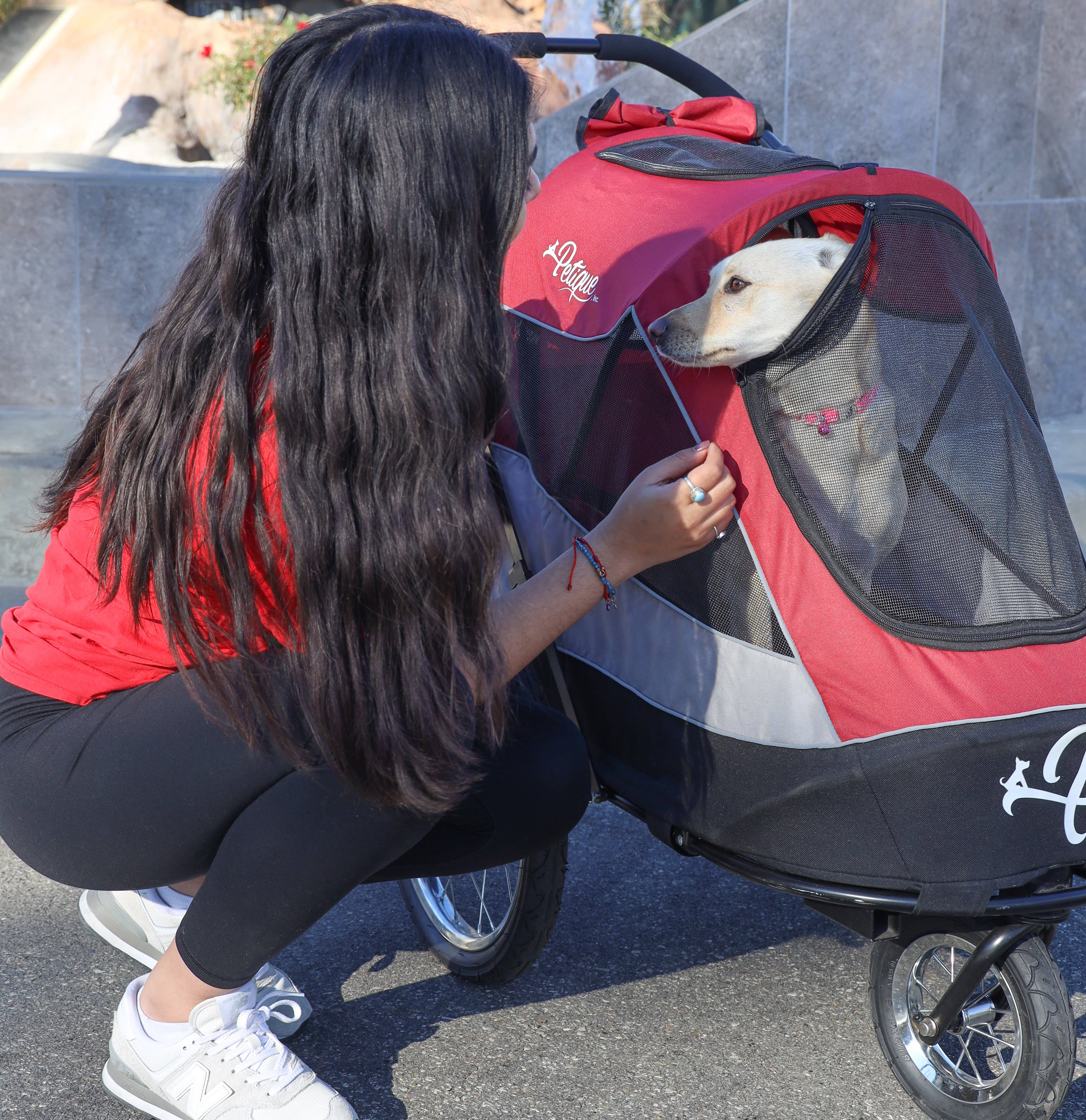Petique - Wholesale Pet Carrier - Cat/Dog - Trailblazer Pet Jogger29