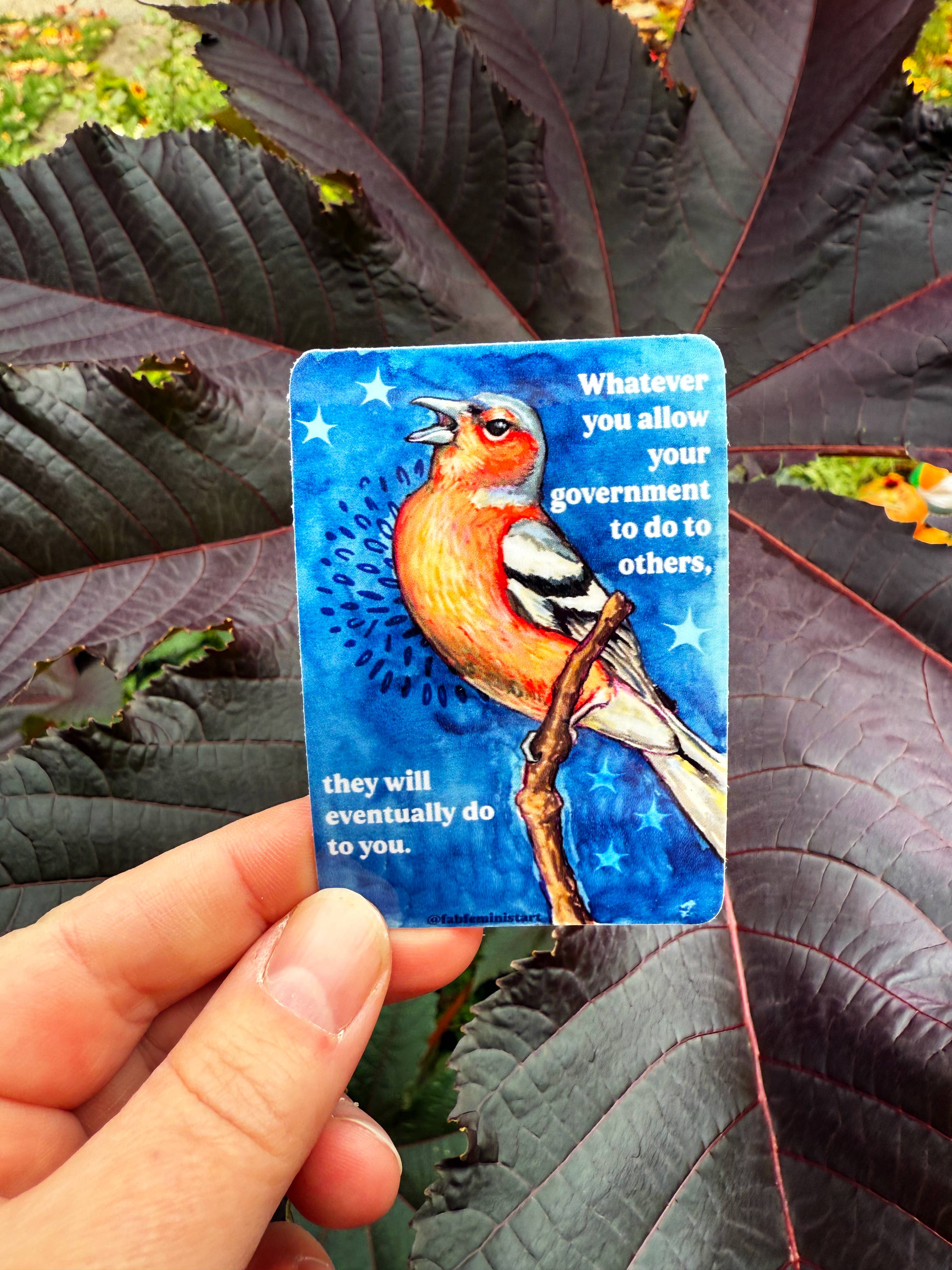 Fabulously Feminist - Wholesale Sticker - Whatever you allow your government to do to others: sticker6