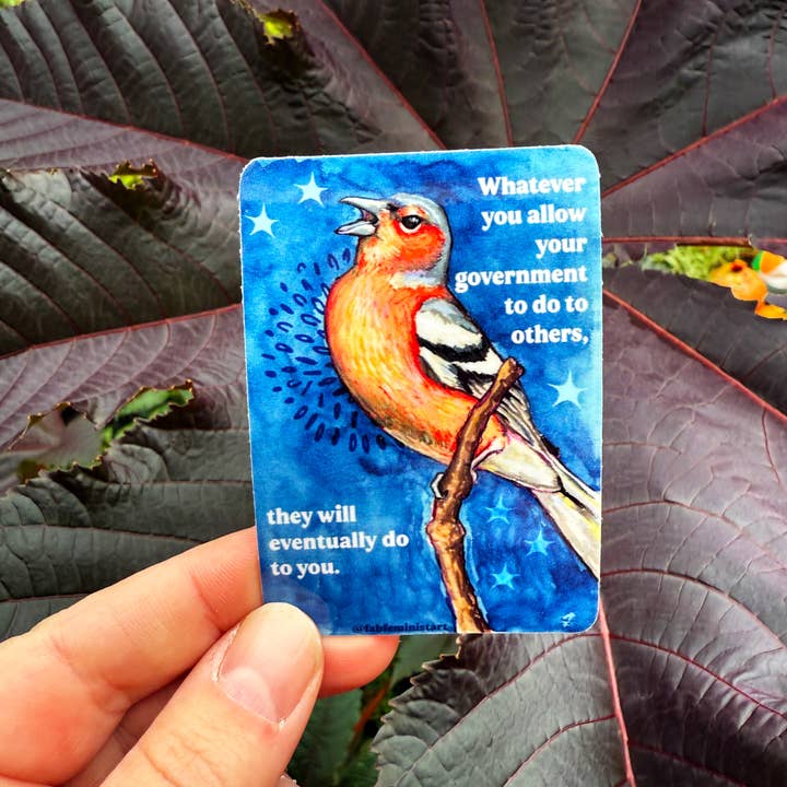 Fabulously Feminist - Wholesale Sticker - Whatever you allow your government to do to others: sticker6