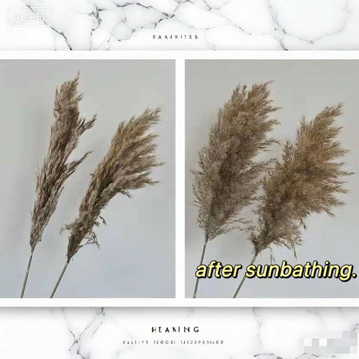 Effiliving - Wholesale Dried/pressed flowers - 10 Wholesale Boho Wedding Decor Large Plume Dry Pampas Grass6