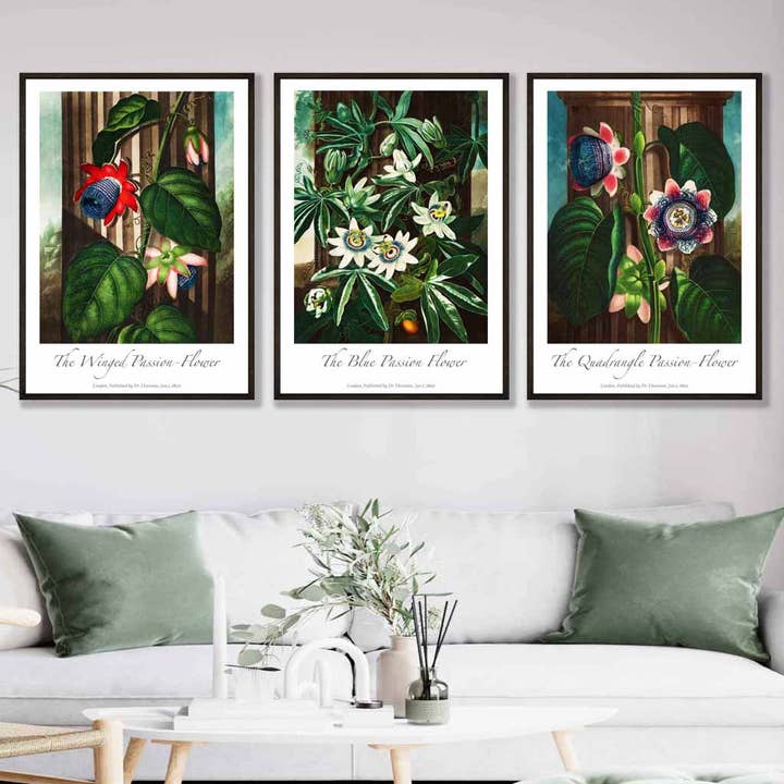 Vintage Passion Flowers Floral Set of 3 Wall Art Prints for wholesale by Artze Wall Art