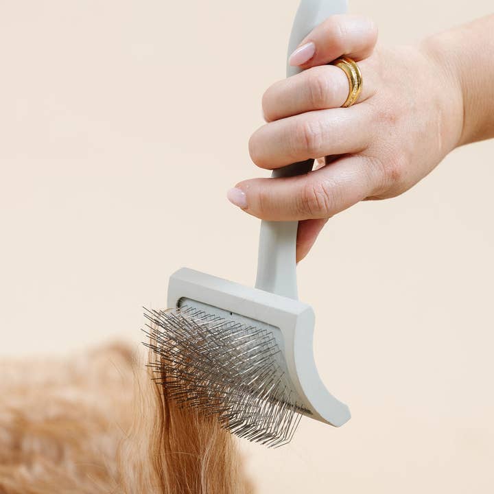 Pupwell - Wholesale Pet Grooming Set - Dog - Ultimate Dog Grooming Kit12