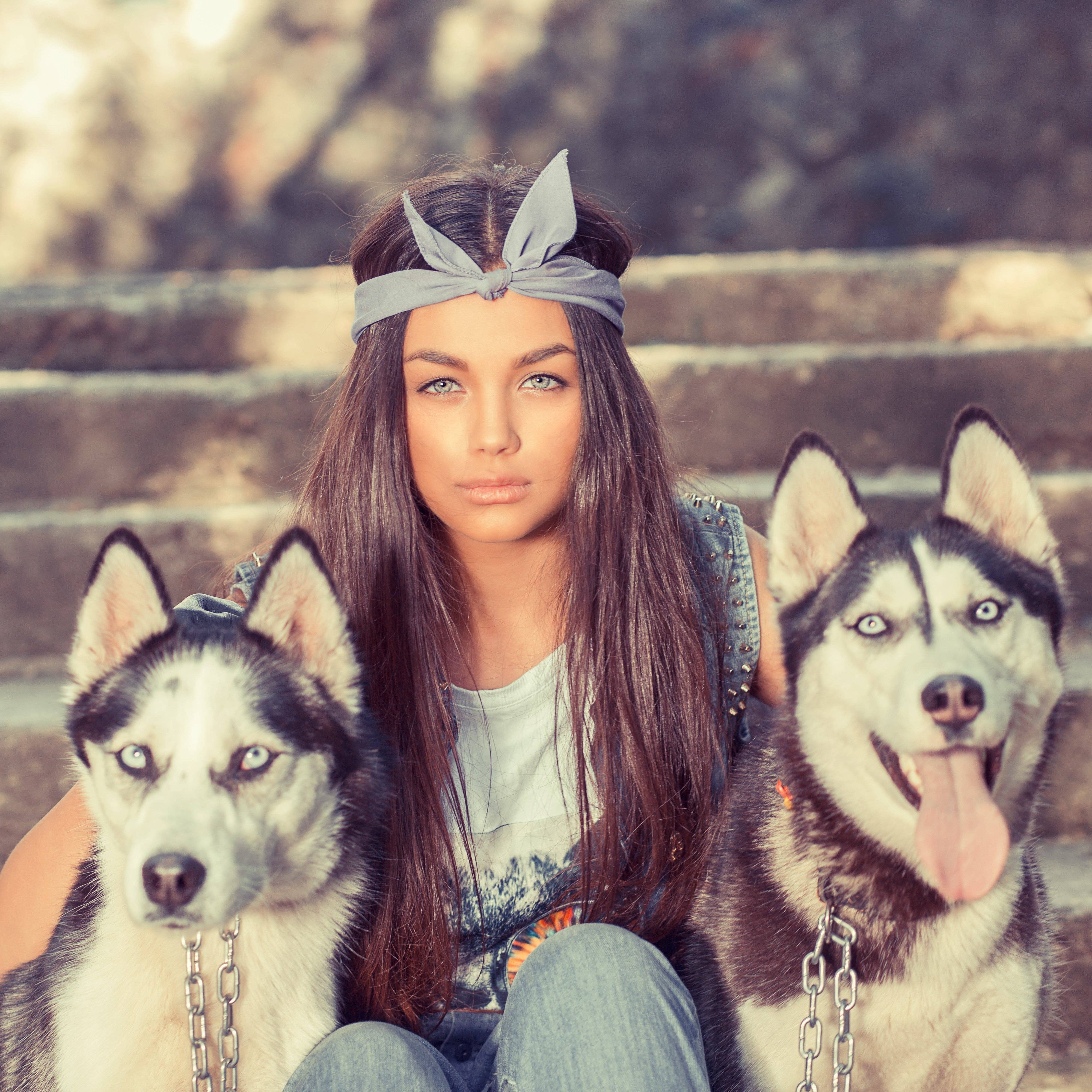 Auction Clearance – wholesale Bandana - Hund – 30-pack Polyester hundbandanas Enfärgade Vanlig storlek12