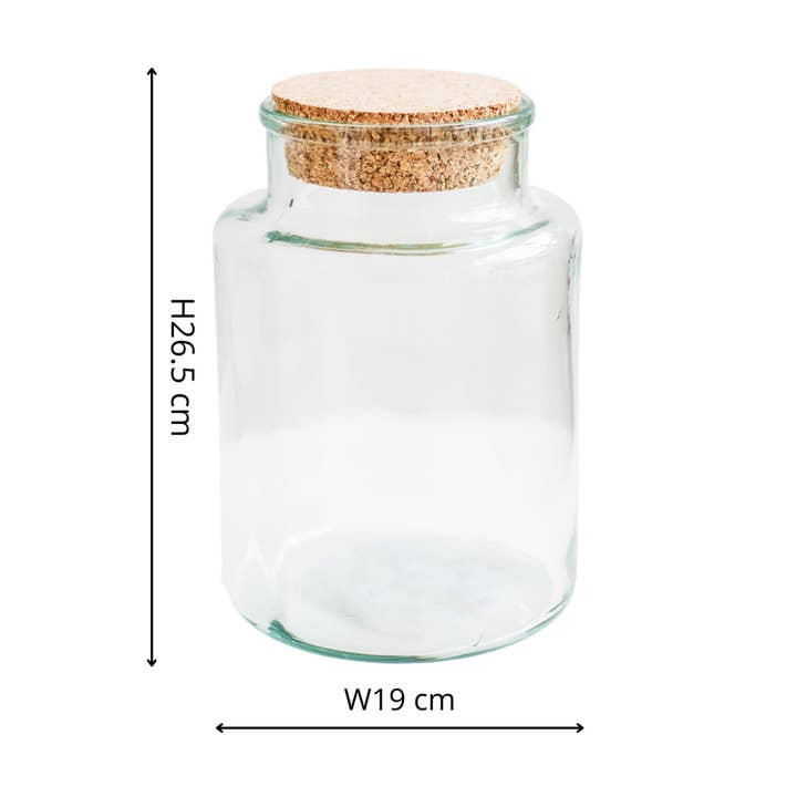 Ivyline - Wholesale Terrarium - Bottle Shape Large Terrarium DIY Kit H26.5cm W19cm